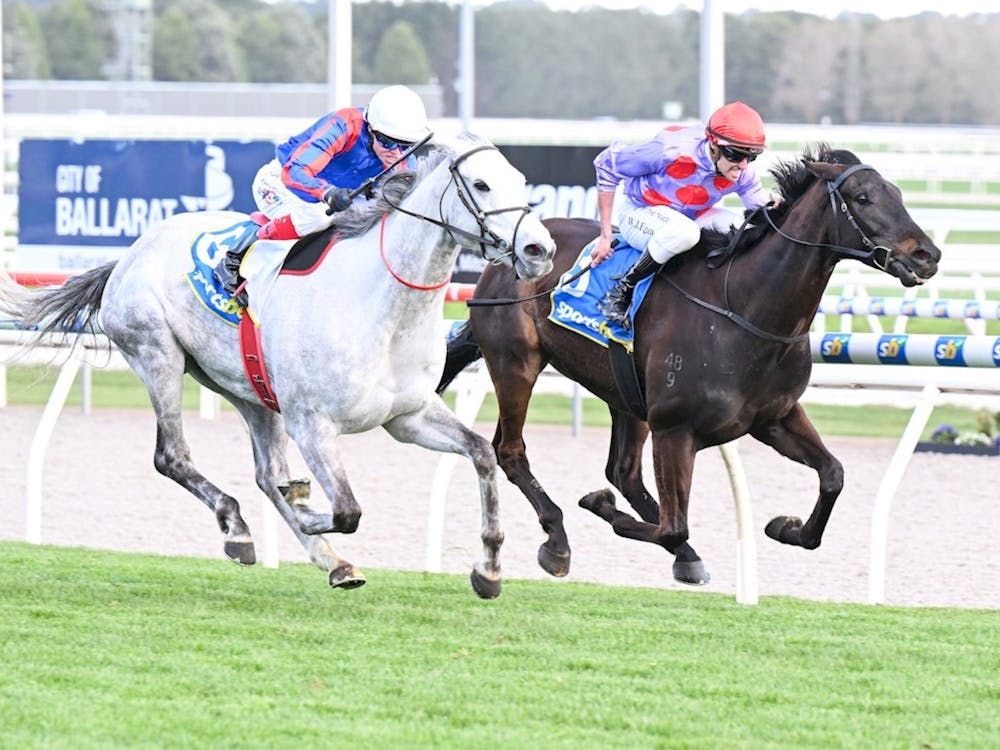 Thumbnail for Sportsbet Gold Nugget Day