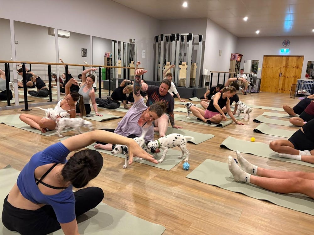 Thumbnail for Ballarat Puppy Yoga Class