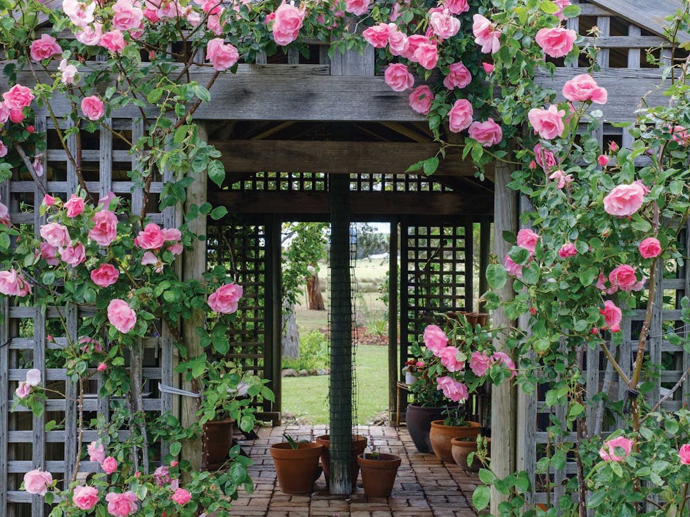 Thumbnail for Creswick Garden Lovers Weekend