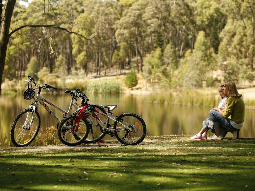 Thumbnail for Creswick Regional Park – Koala Park