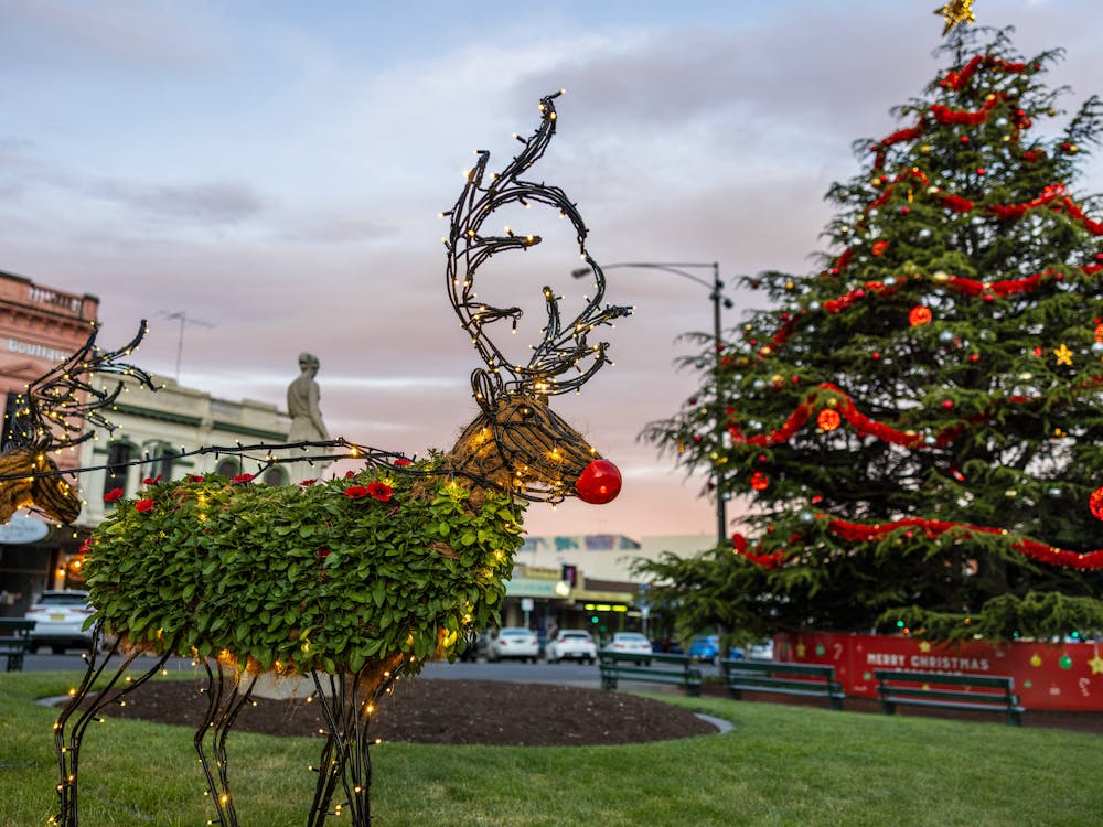 Reindeer