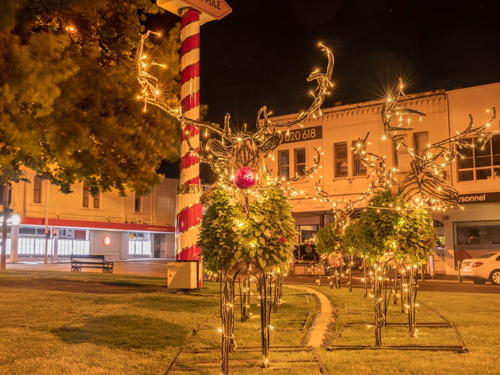 Floral reindeer lit up at night with fairy lights