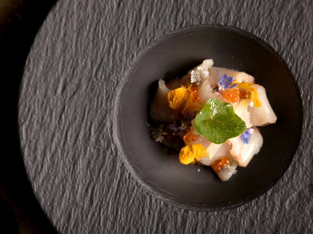 ceviche