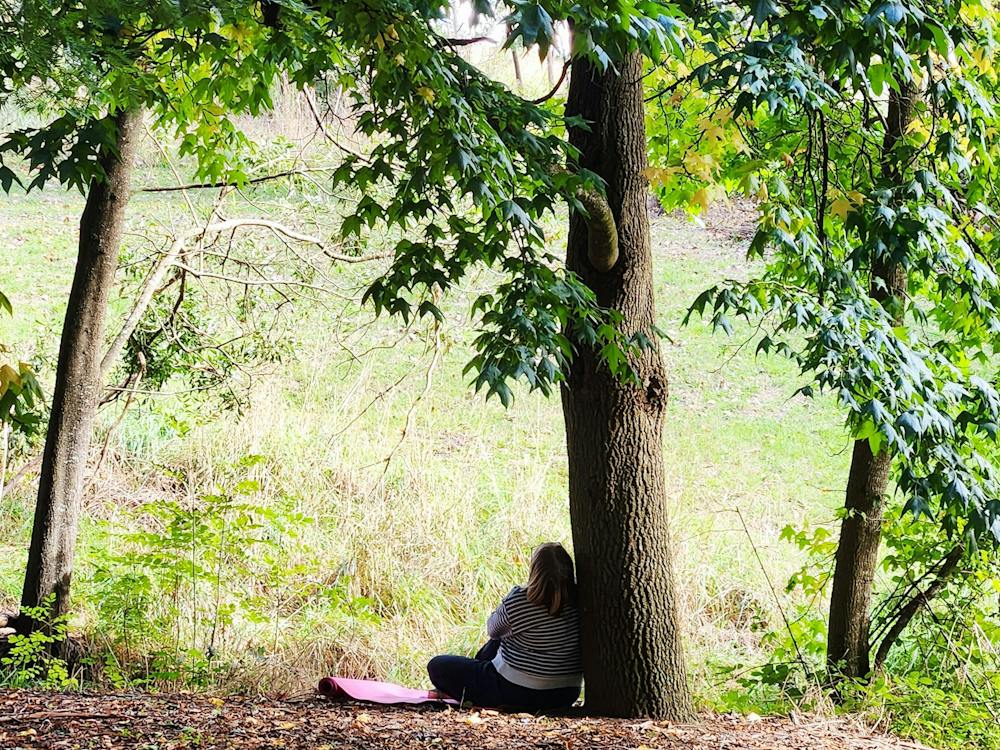 Thumbnail for Forest Bathing Ballarat Botanical Gardens