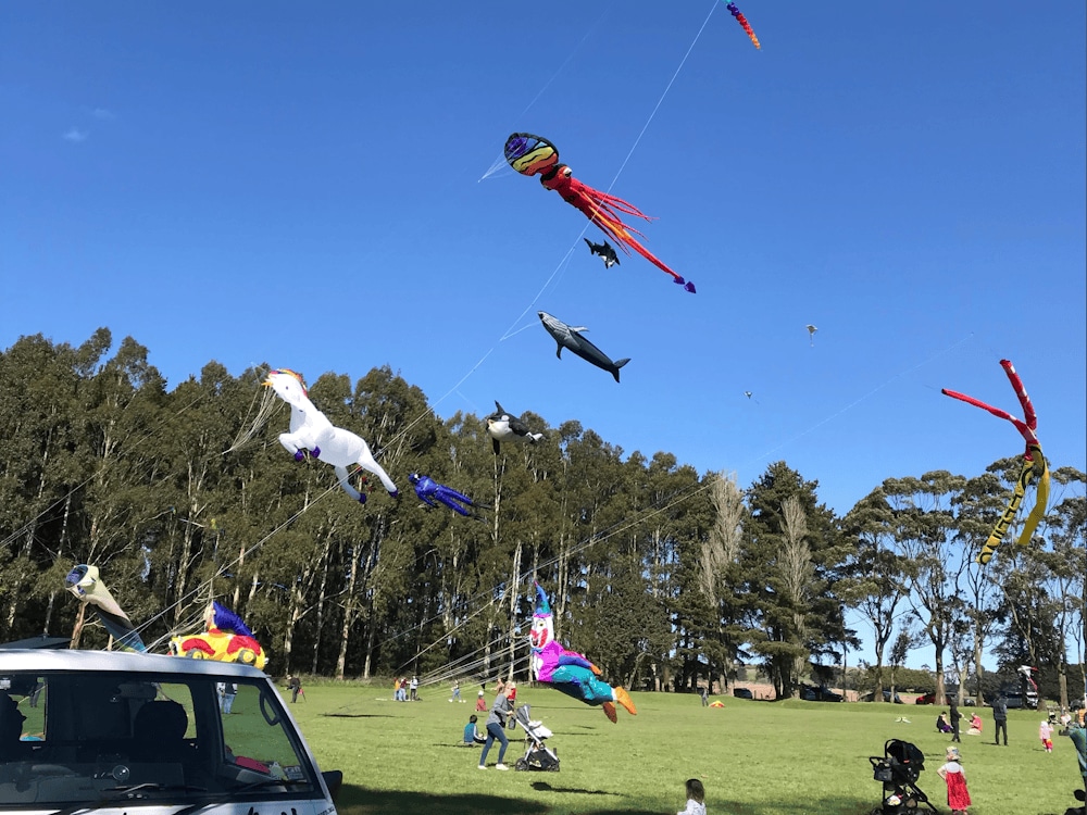 Thumbnail for Dean Kite Festival