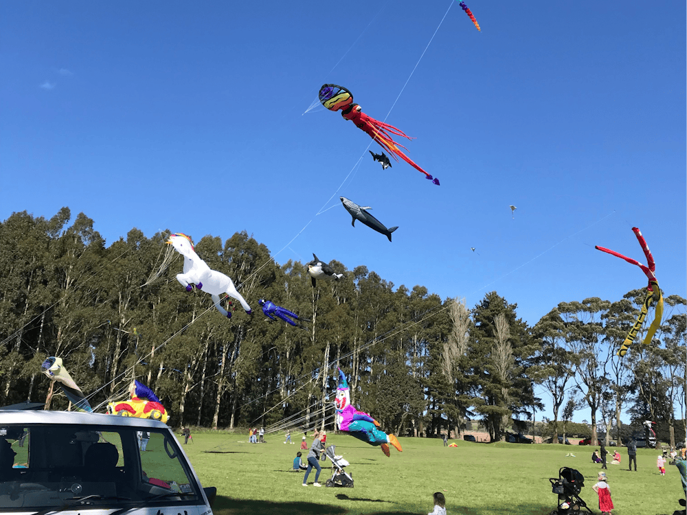 Thumbnail for Dean Kite Festival