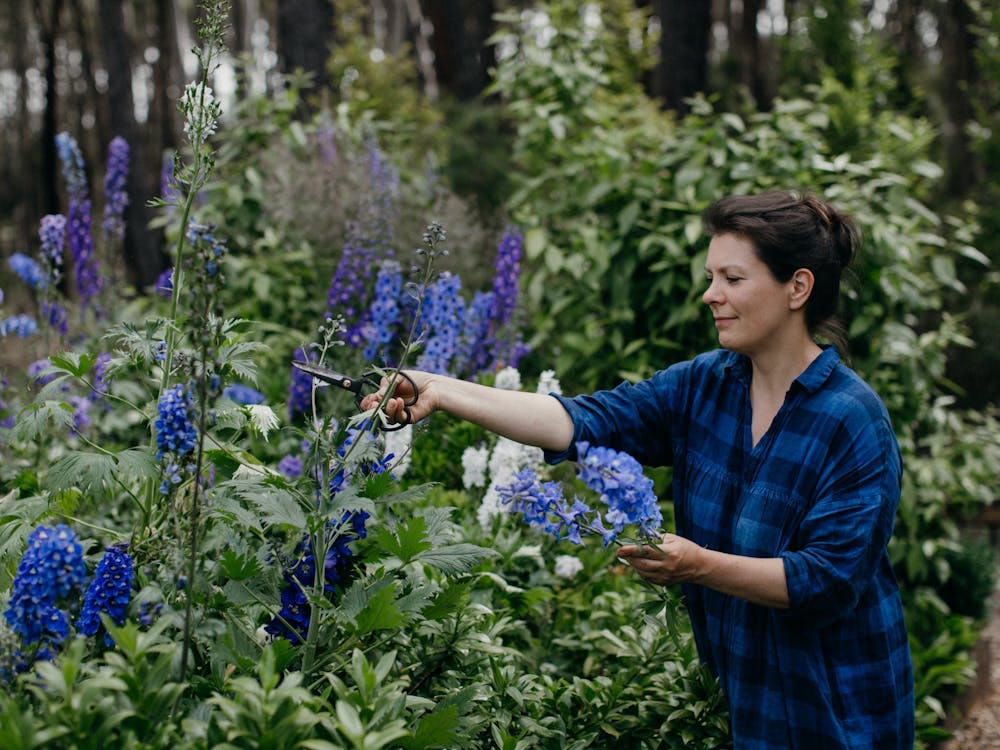 Thumbnail for The Productive Garden Companion Book Launch – Blackwood
