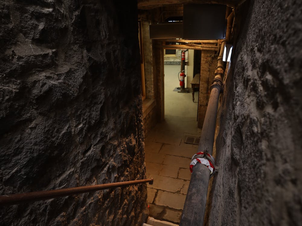 Photo of bluestone stairs leading down into a basement