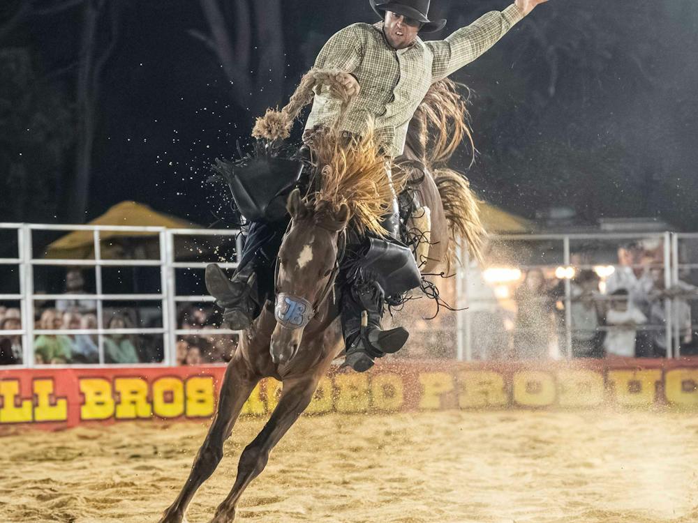 Saddle Bronc in Full Flight