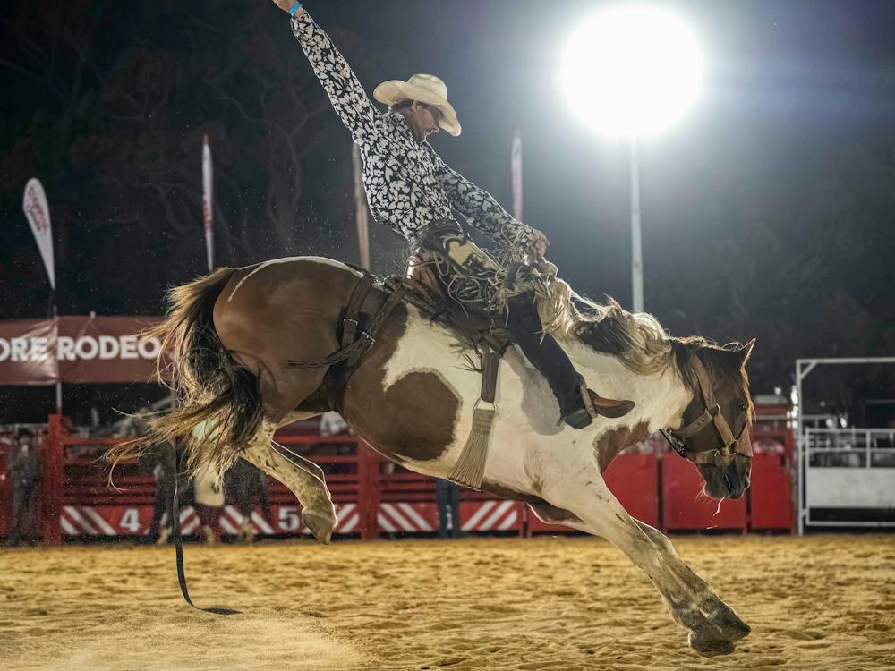 Saddle Bronc Rider