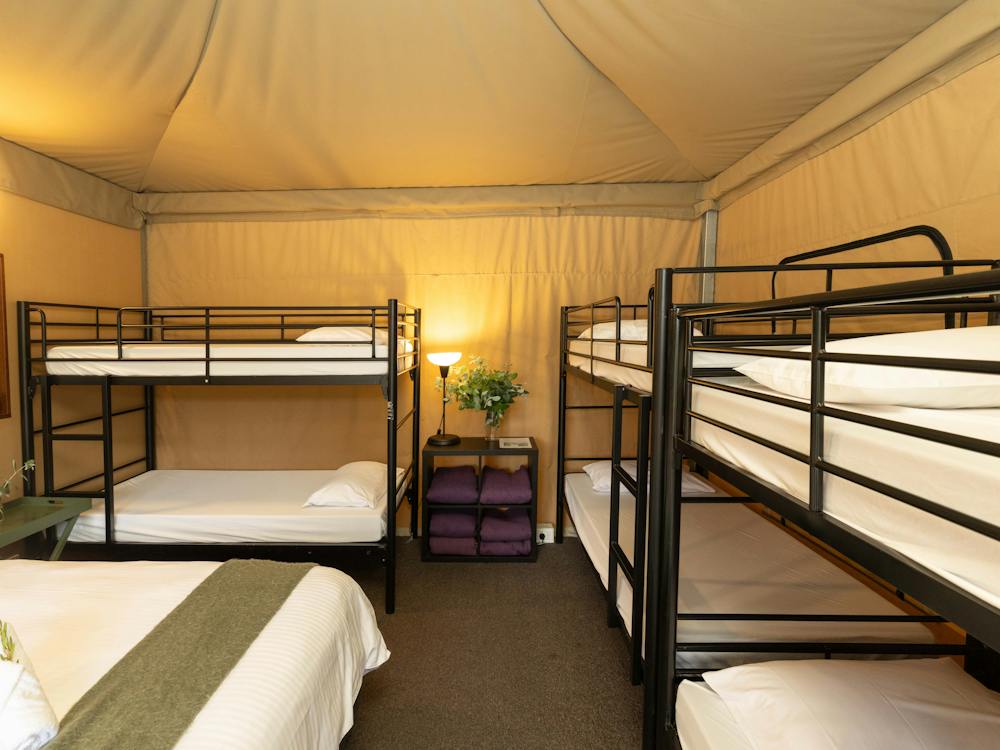 8 Beds in Glamping Tent
