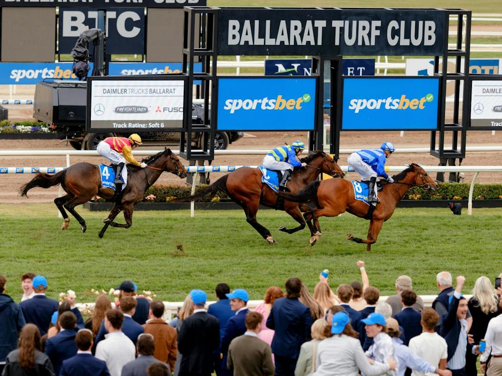 Crowd enjoying the horses going past the line