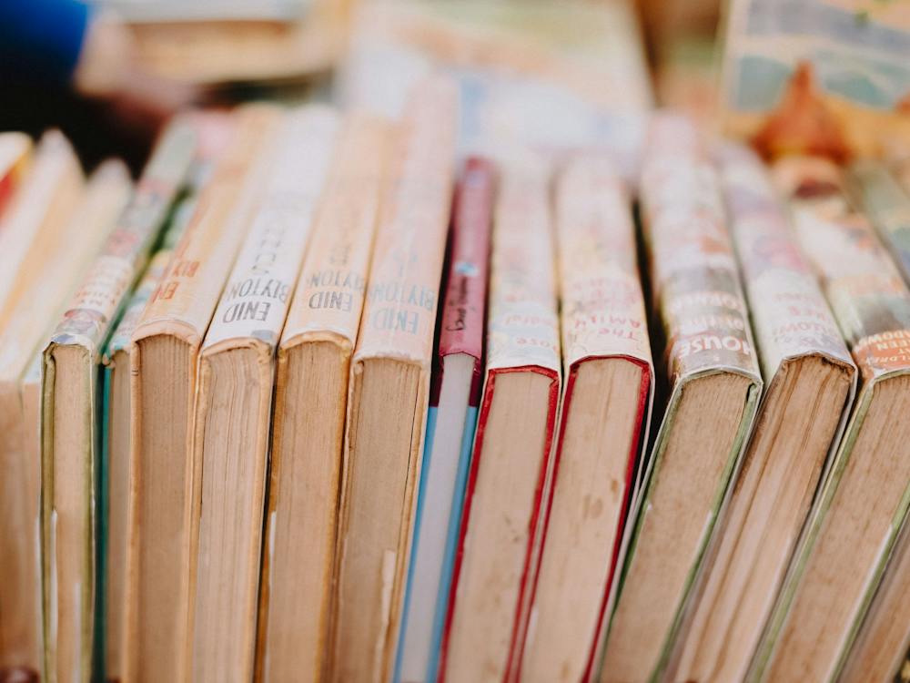 A stacks of books, lined up next to each other.