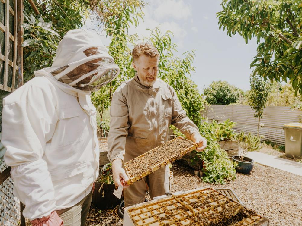 Thumbnail for Introduction to Beekeeping Course