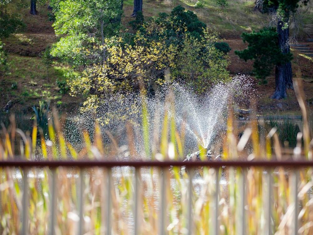 Creswick of the Lindsays Arts Trail