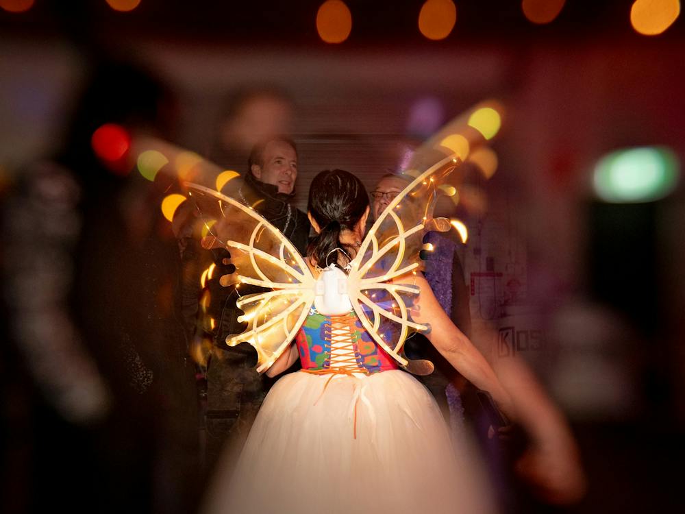 Butterfly Winged costume