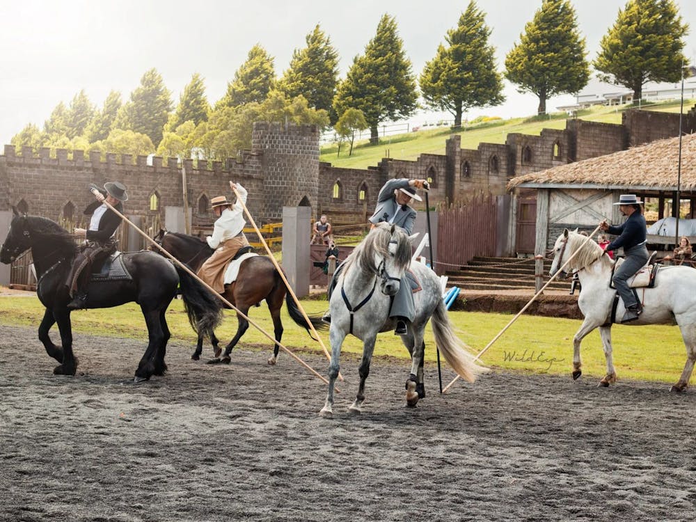 Thumbnail for Baroque Horse Festival at Kryal Castle