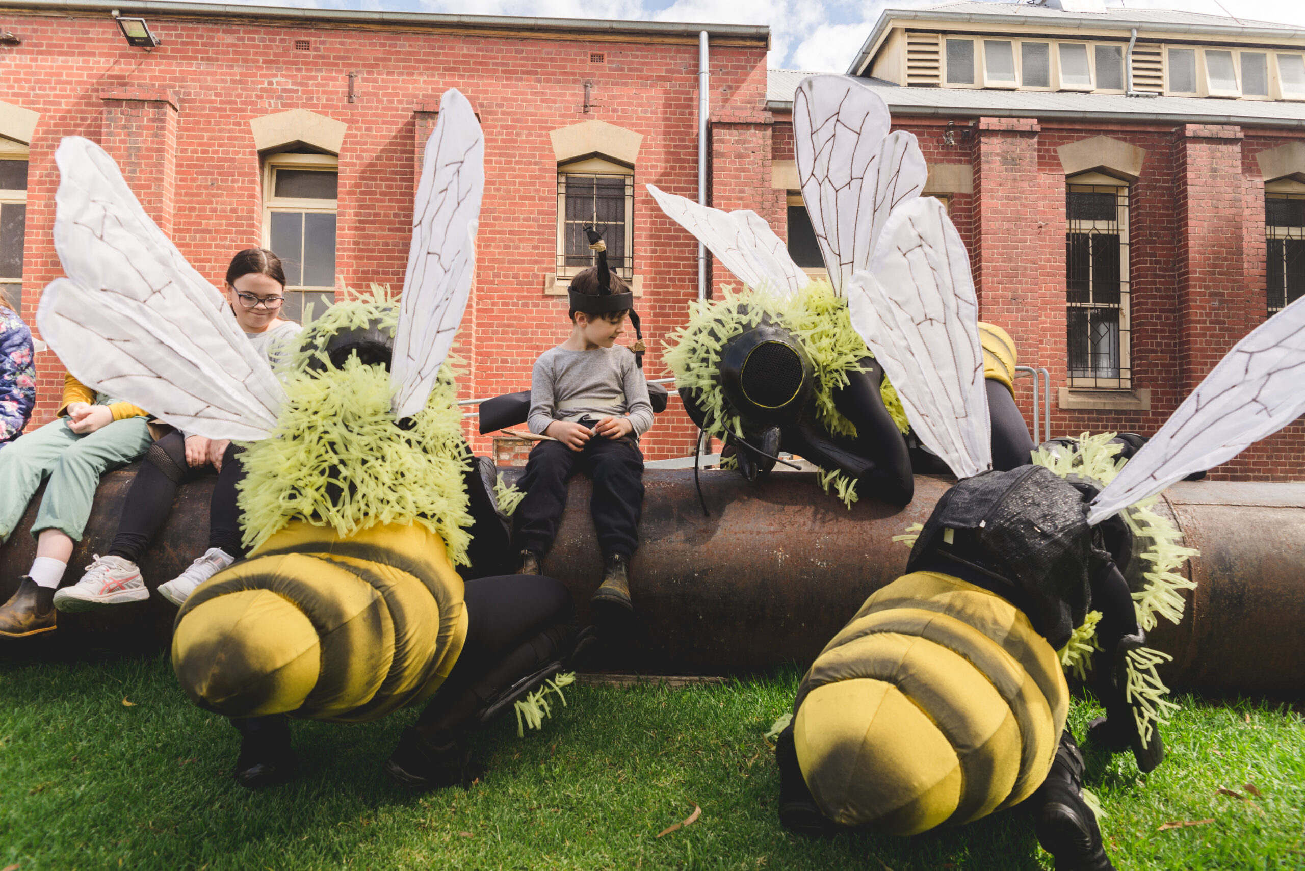 Thumbnail for Polyglot Theatre’s Bees at the Ballarat Begonia Festival