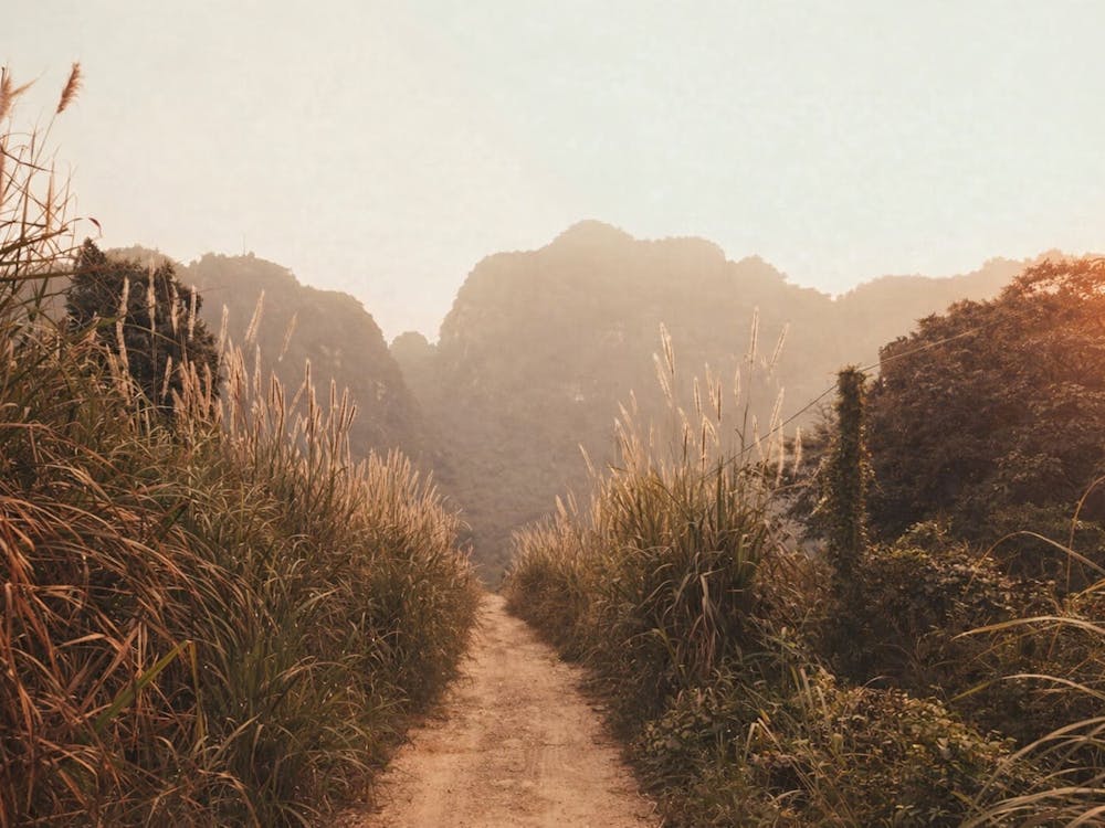 Thumbnail for Living with Purpose Mindfulness Workshop