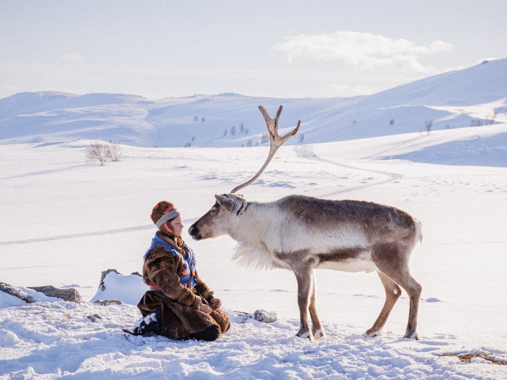 Woman kneels in front of a reindeer in a snowy expanse