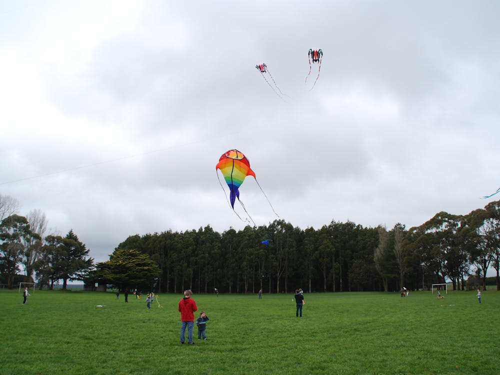 Dean Kite Festival