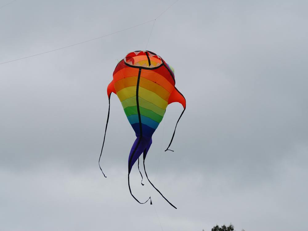 Dean Kite Festival