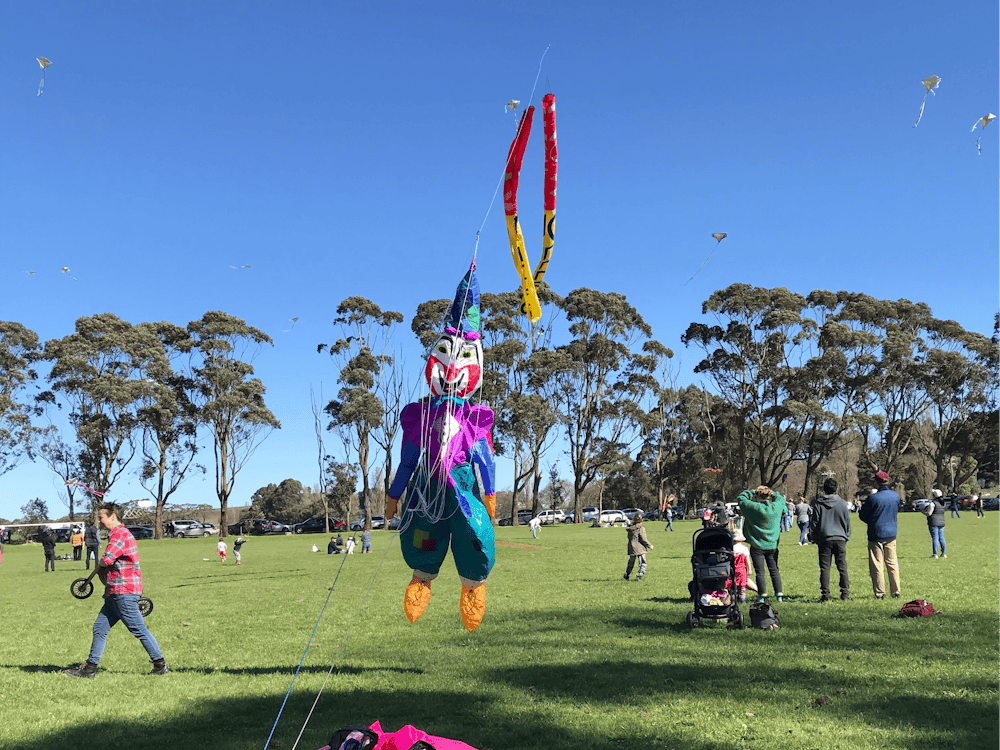 Colourful kites amongst a sea of spectators