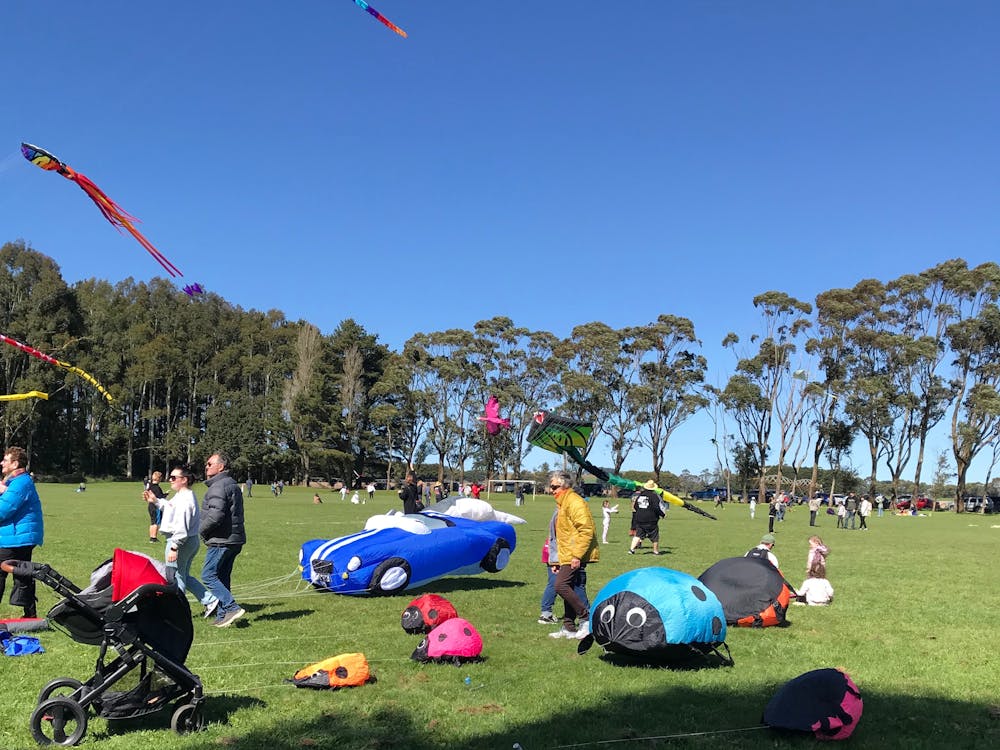 Cleverly shaped kites