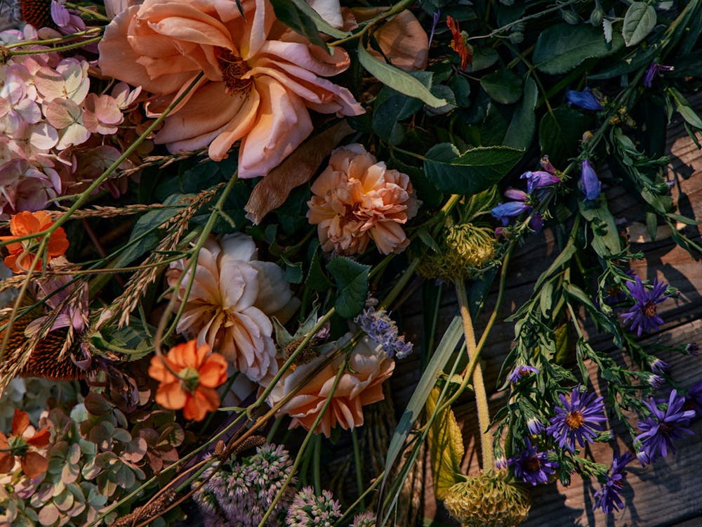 Gathered flowers from Natasha Morgans garden gathered on a bench