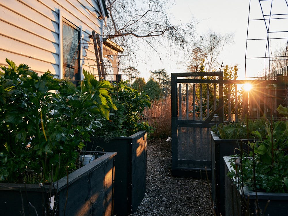 Wicking bed productive garden from The Productive Garden Companion