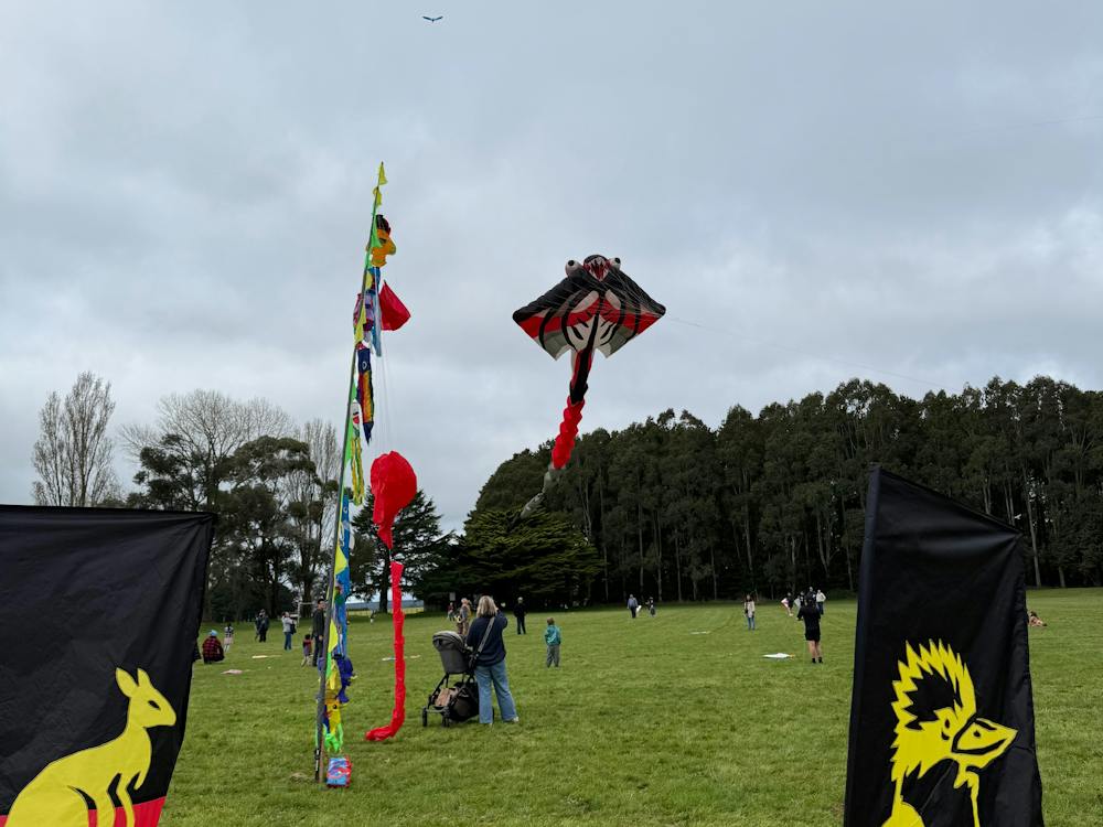 Colourful kites flying