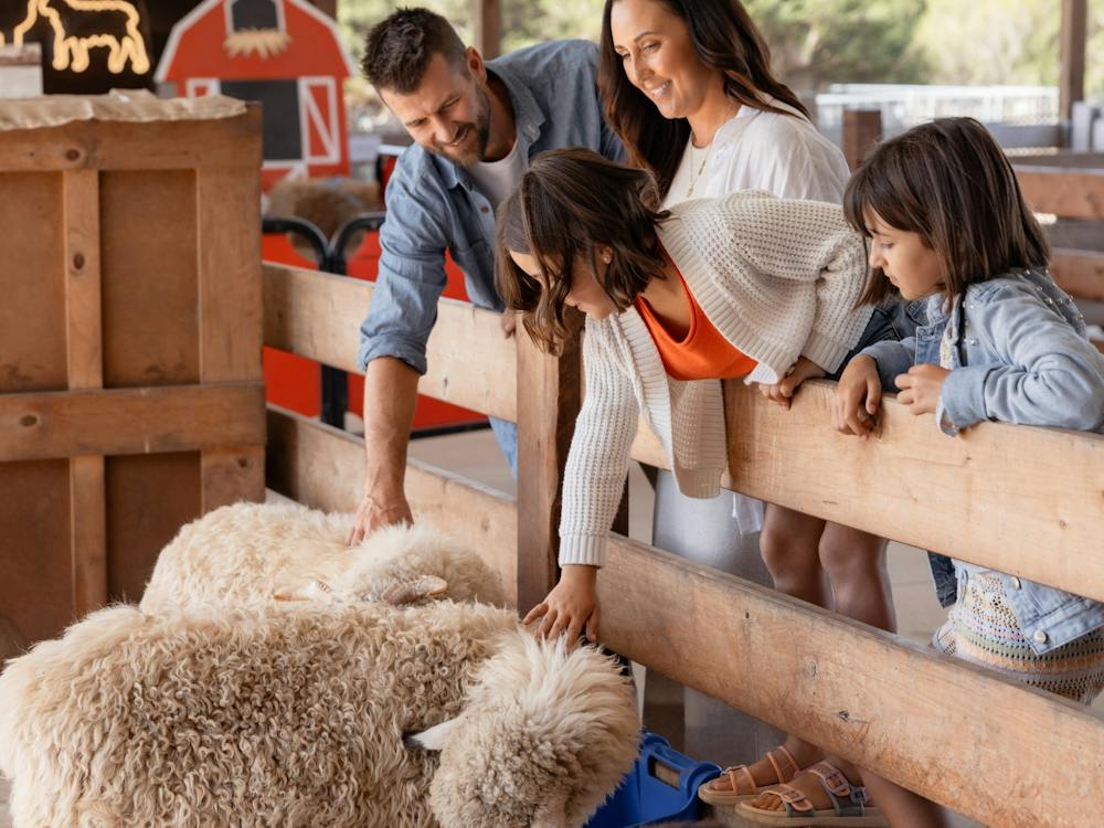 Family Fun at Creswick Woollen Mills